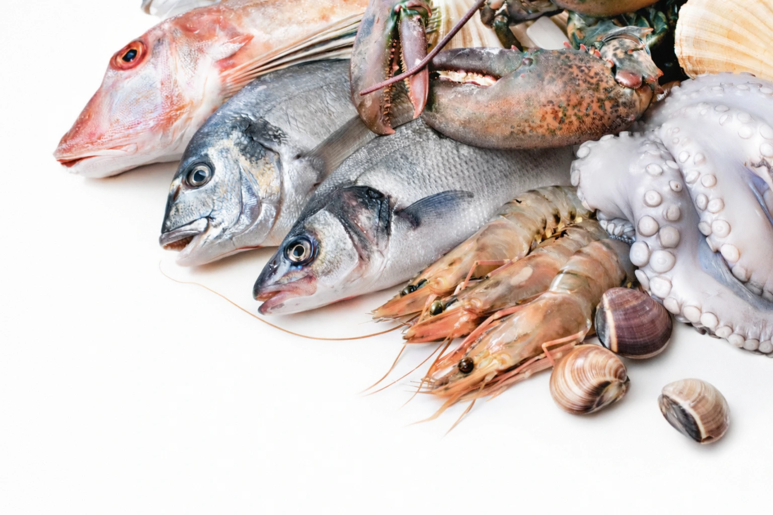 High-quality fish processing solutions